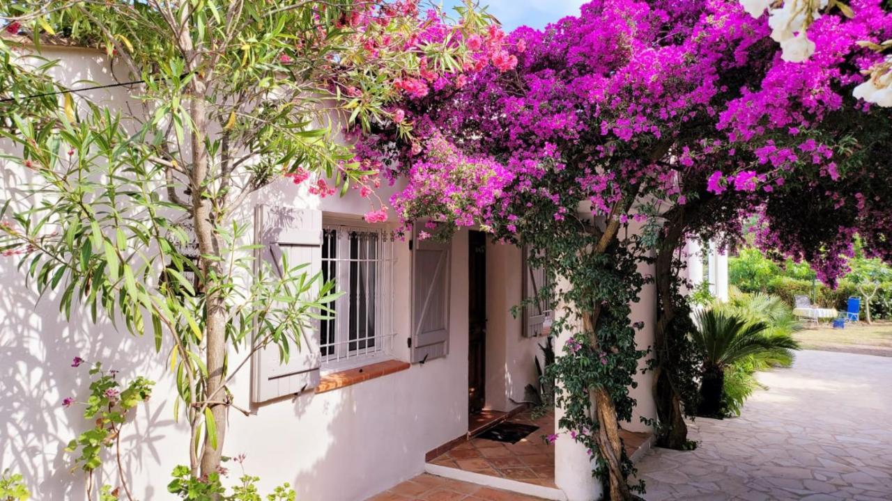 Villa Provencale A Sainte Maxime, Golf De Saint Tropez Esterno foto