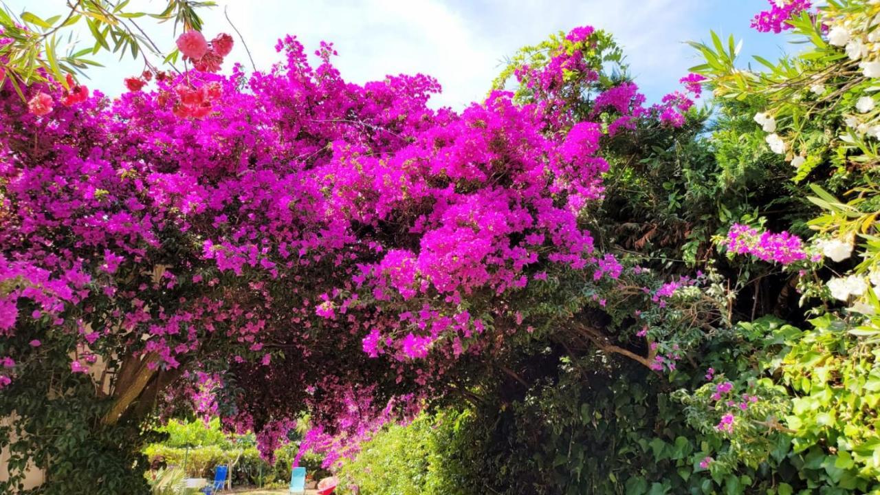 Villa Provencale A Sainte Maxime, Golf De Saint Tropez Esterno foto