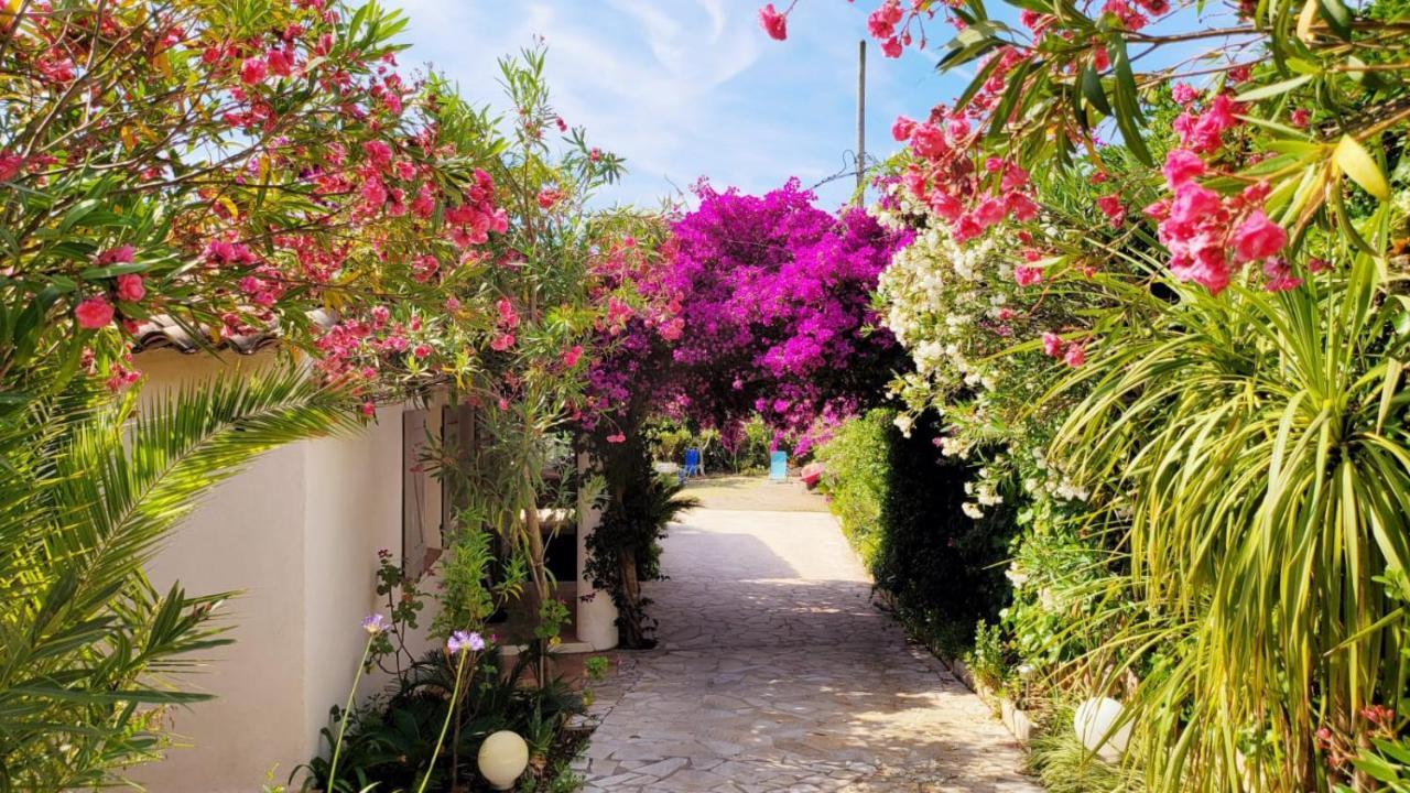 Villa Provencale A Sainte Maxime, Golf De Saint Tropez Esterno foto