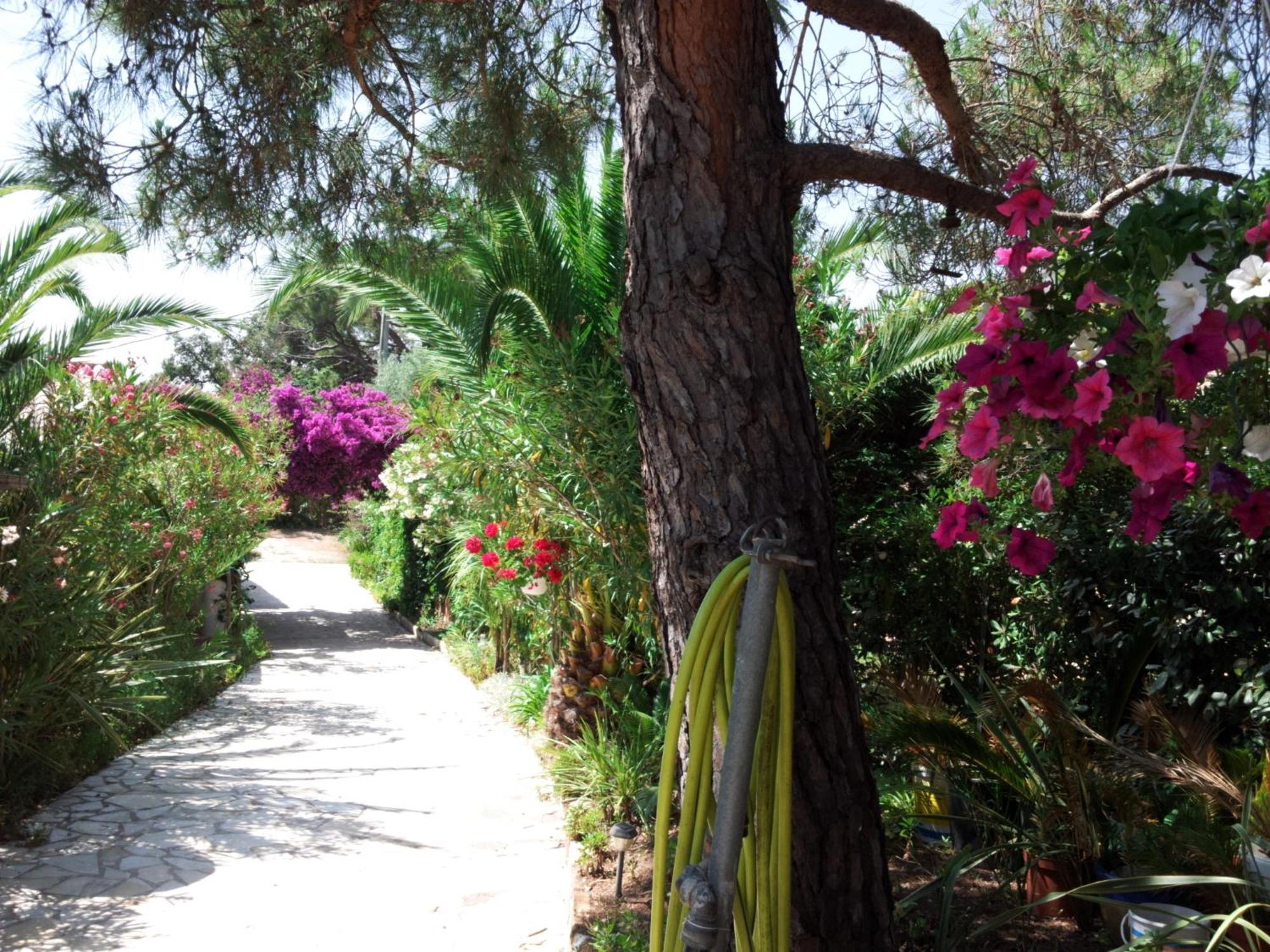 Villa Provencale A Sainte Maxime, Golf De Saint Tropez Esterno foto