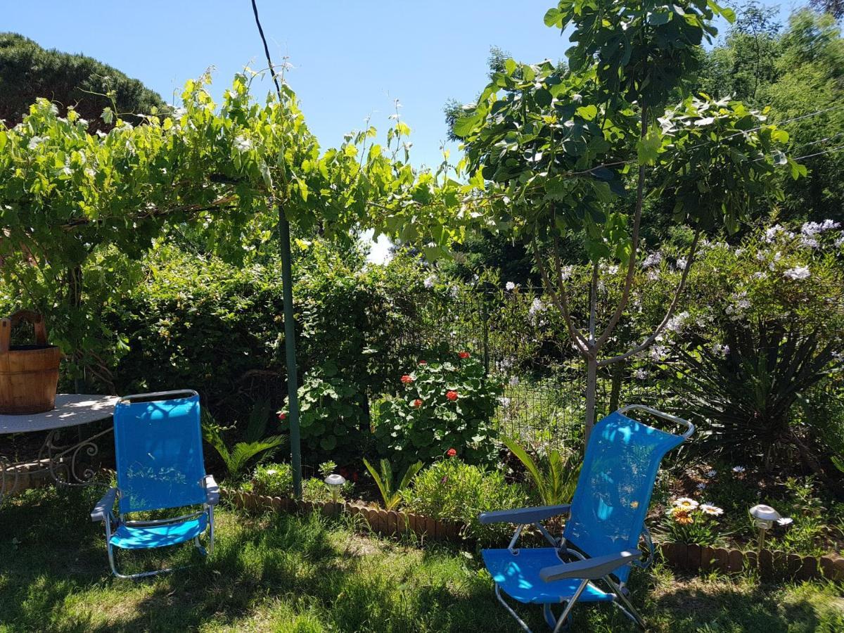 Villa Provencale A Sainte Maxime, Golf De Saint Tropez Esterno foto